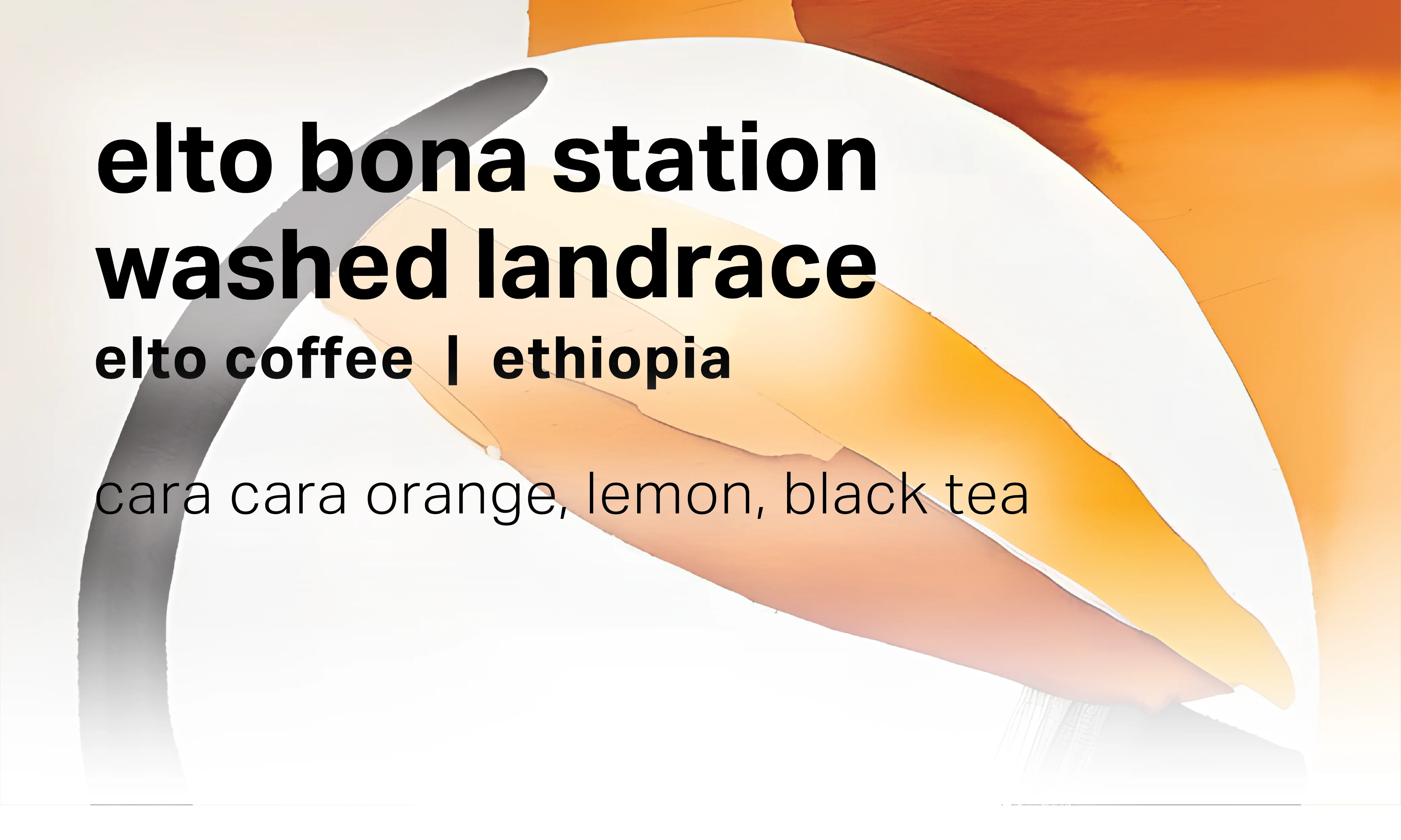 Elto Coffee Bona Station - Washed Landrace - Ethiopia packshot