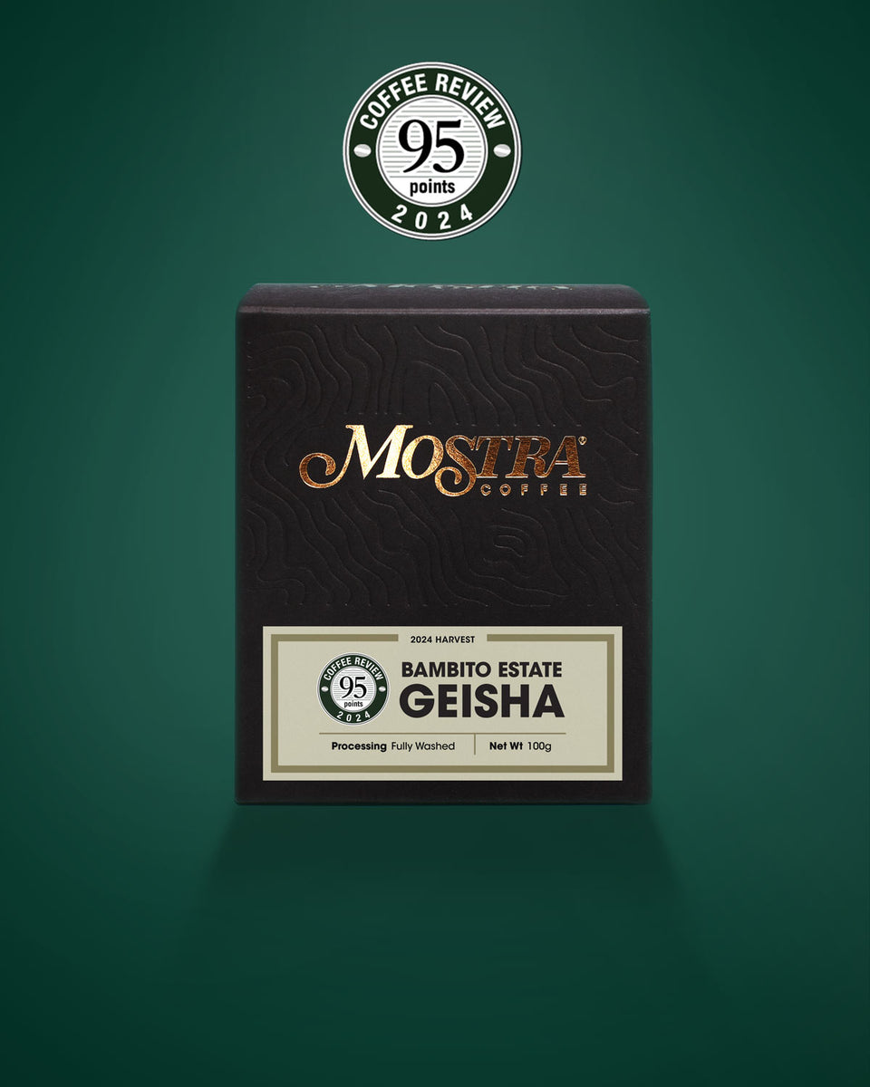 Bambito Estate Geisha 2024