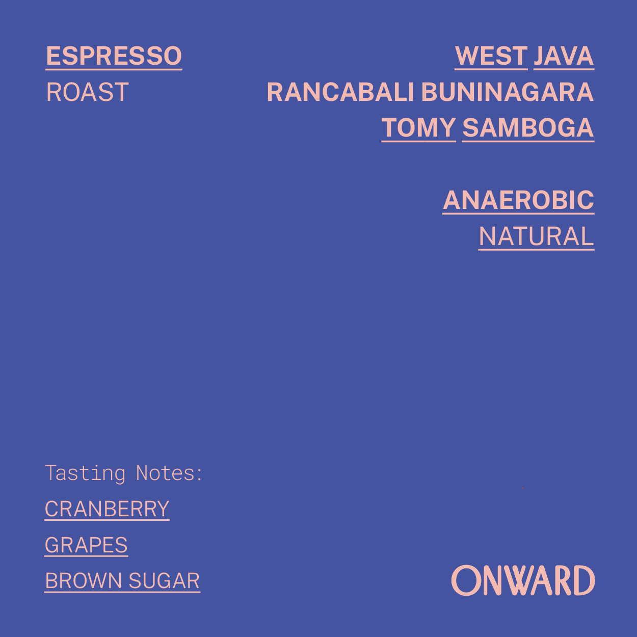 Espresso - West Java Rancabali Buninagara - Anaerobic Natural packshot