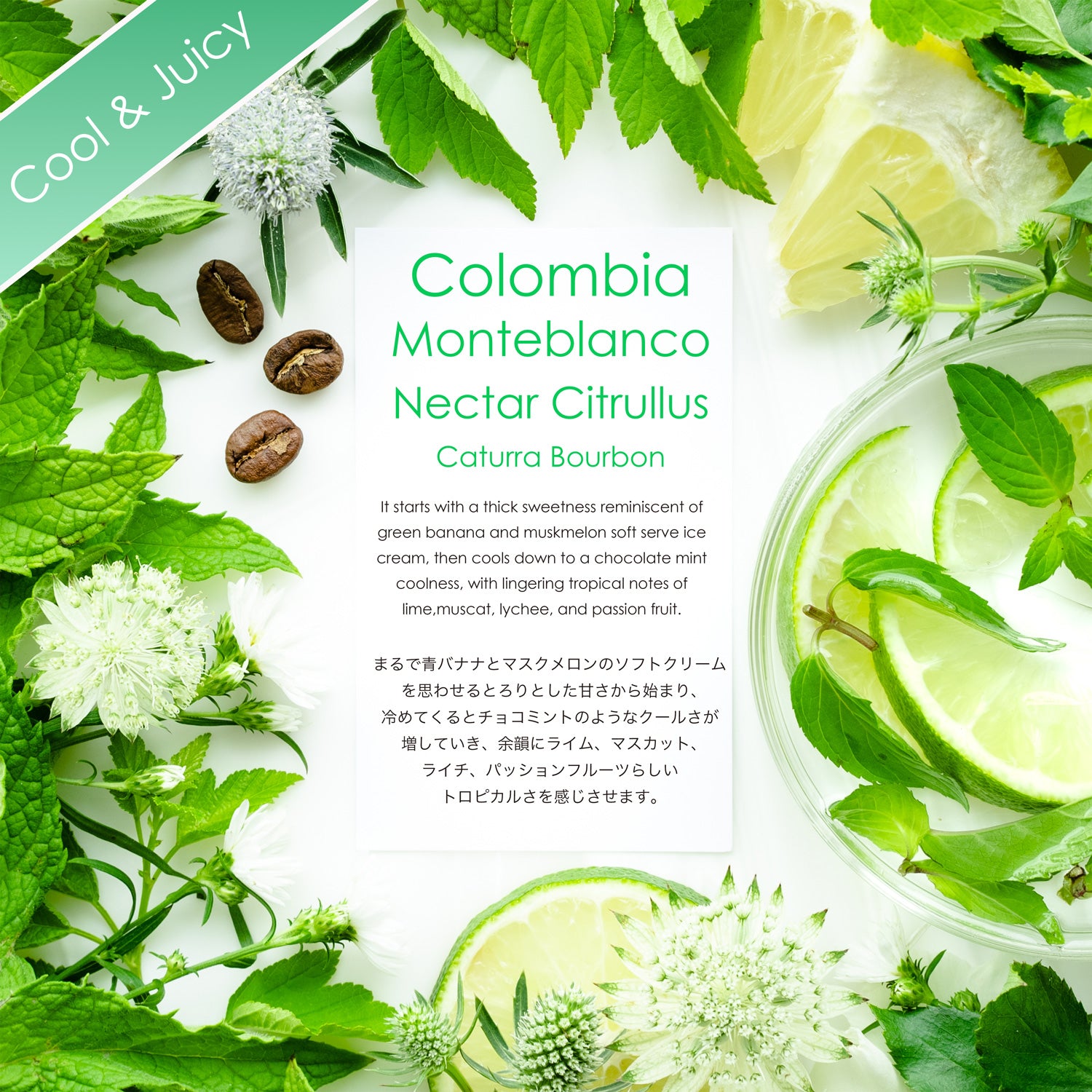 Monteblanco Caturra Bourbon Nectar Citrullus packshot