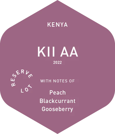 Kii AA 2022 packshot