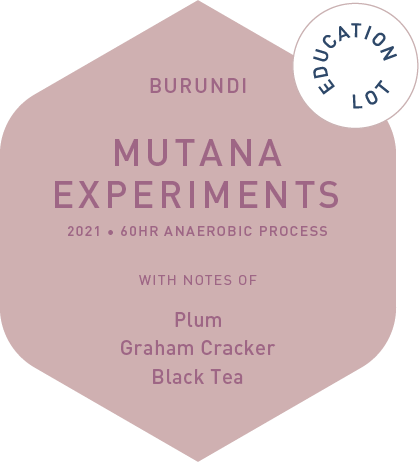 Mutana Experements 60hr Anaerobic Process Education Lot 2021 packshot