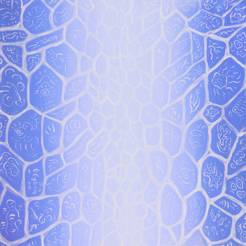 Kenya - Kamwenja AA - Lot #070 packshot