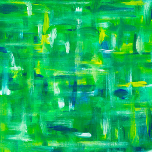 Ecuador - Alaska del Sur - Washed Mejorado packshot