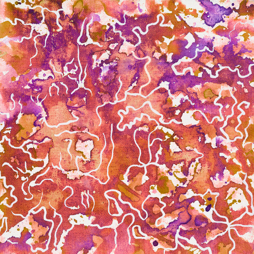 Colombia - La Bonita - Washed Pink Bourbon - 250g packshot