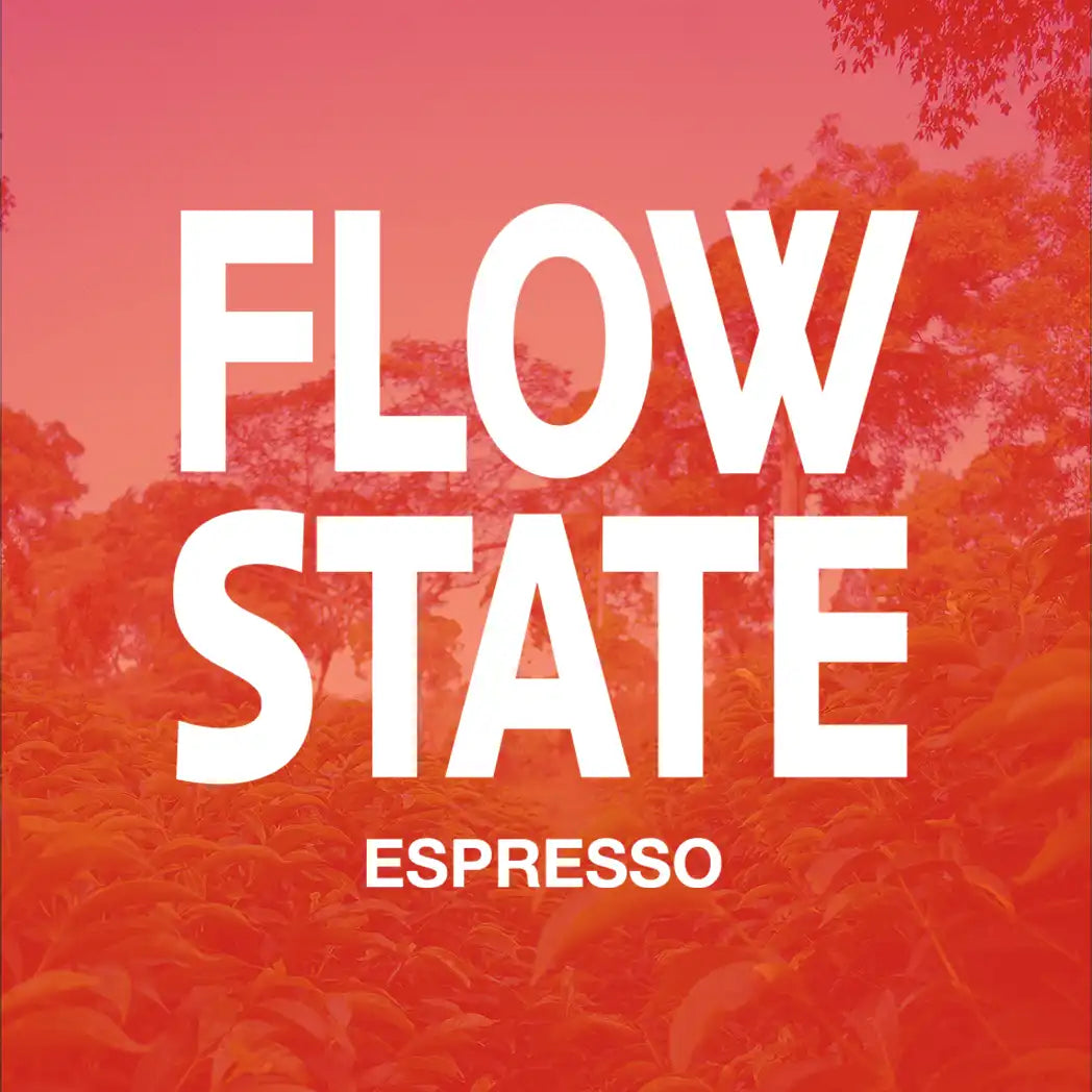 FLOW STATE Espresso packshot