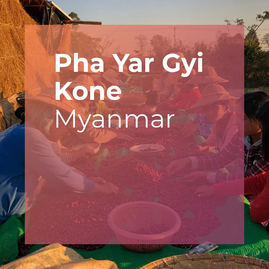 PHA YAR GYI KONE, Community Lot packshot