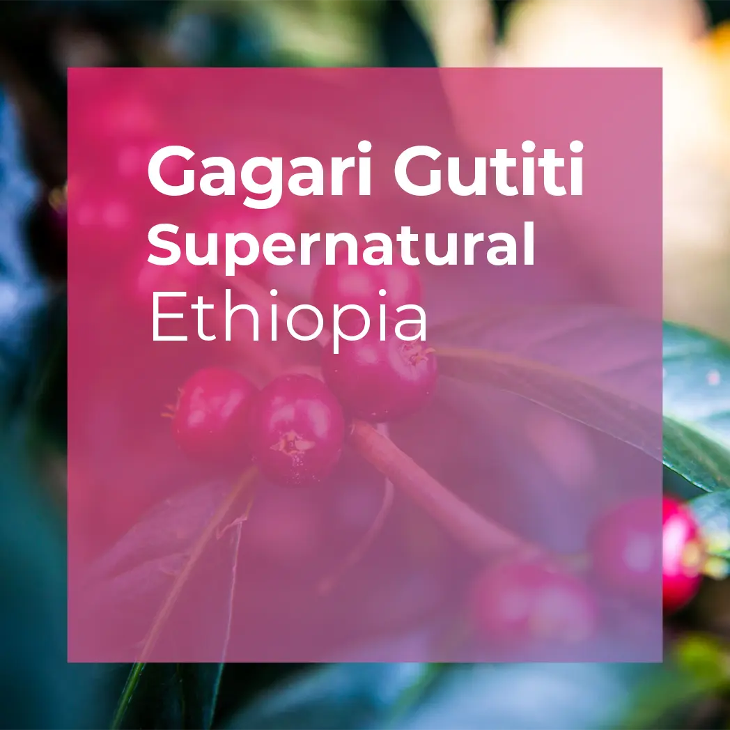 GAGARI GUTITI, Supernatural packshot