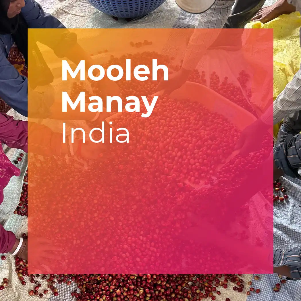 MOOLEH MANAY, Natural Carbonic Maceration packshot