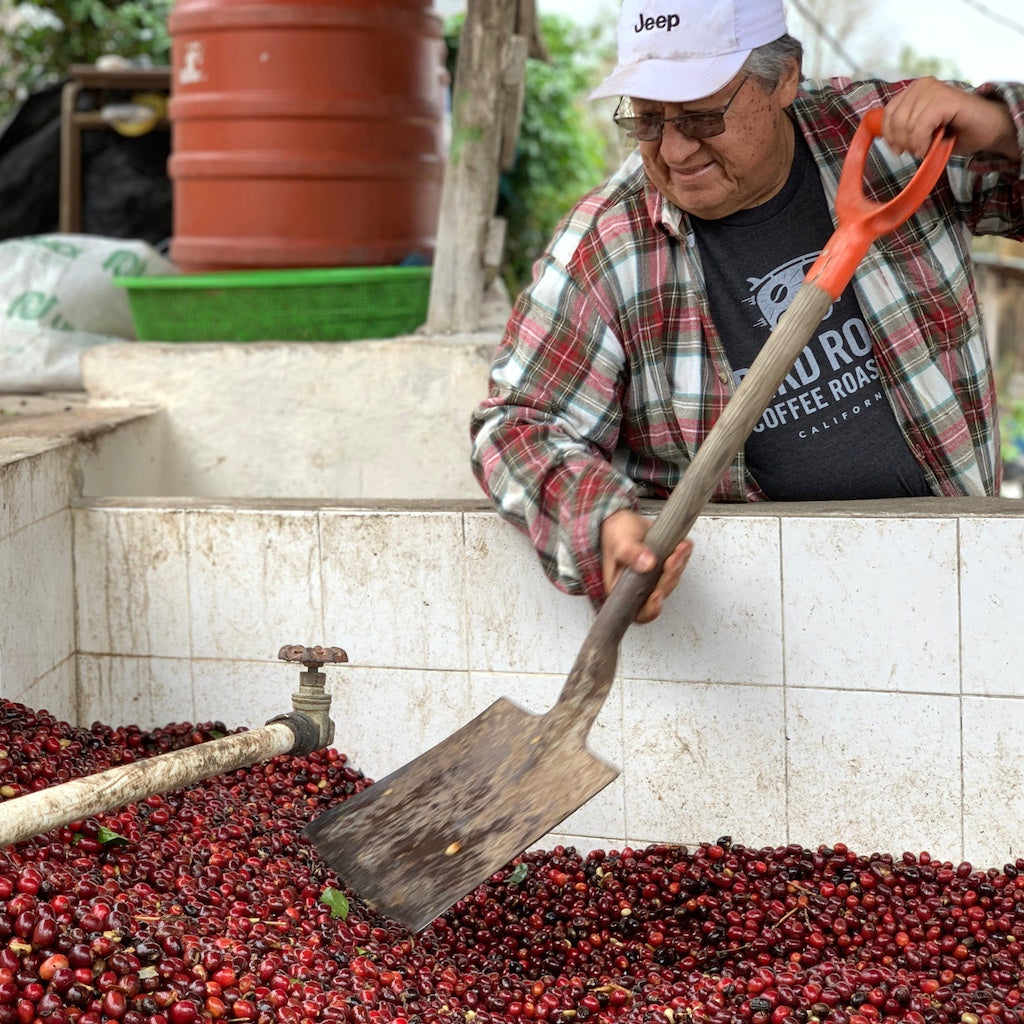 Ethiopia Traditional Set packshot