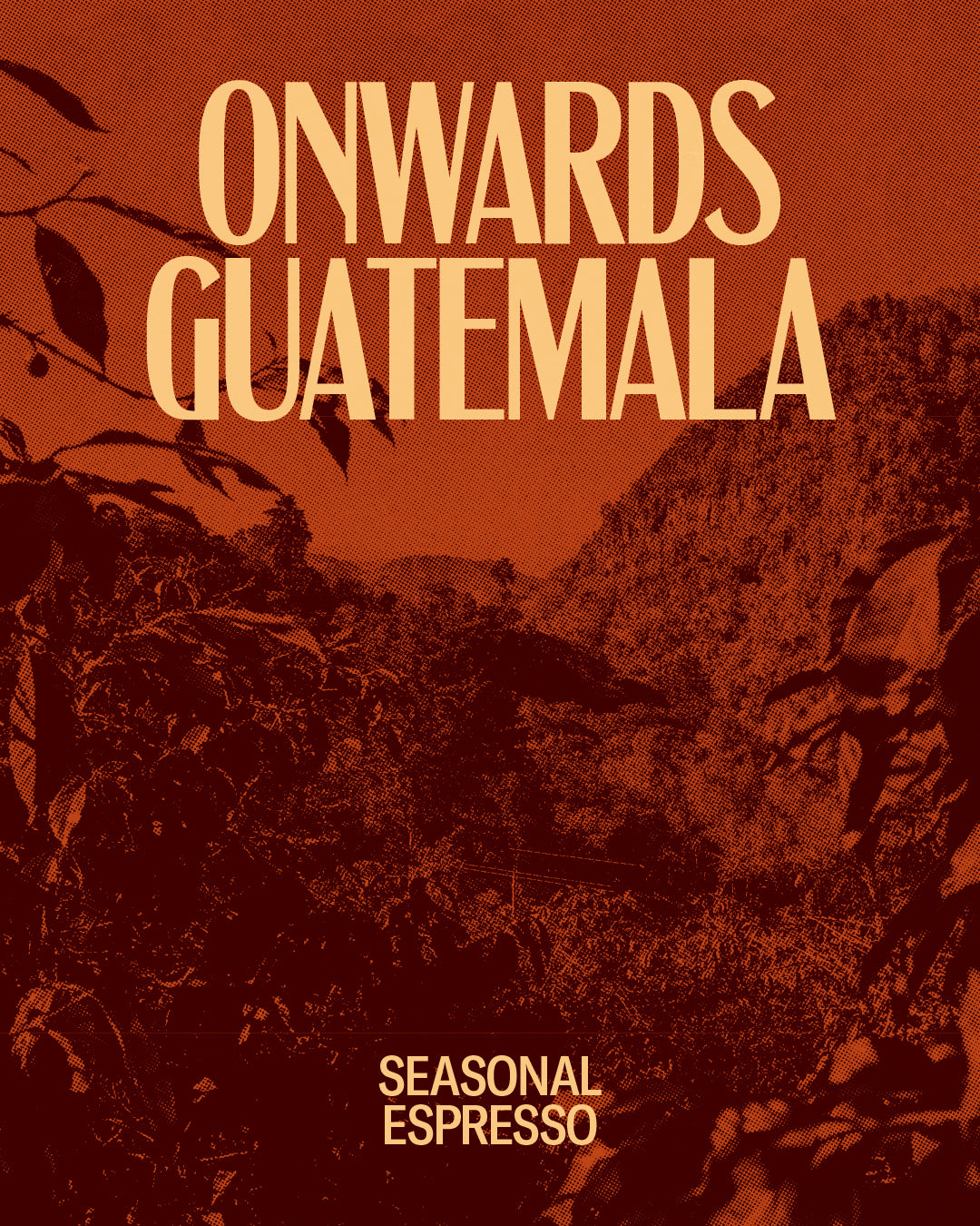 Onwards - Espresso packshot