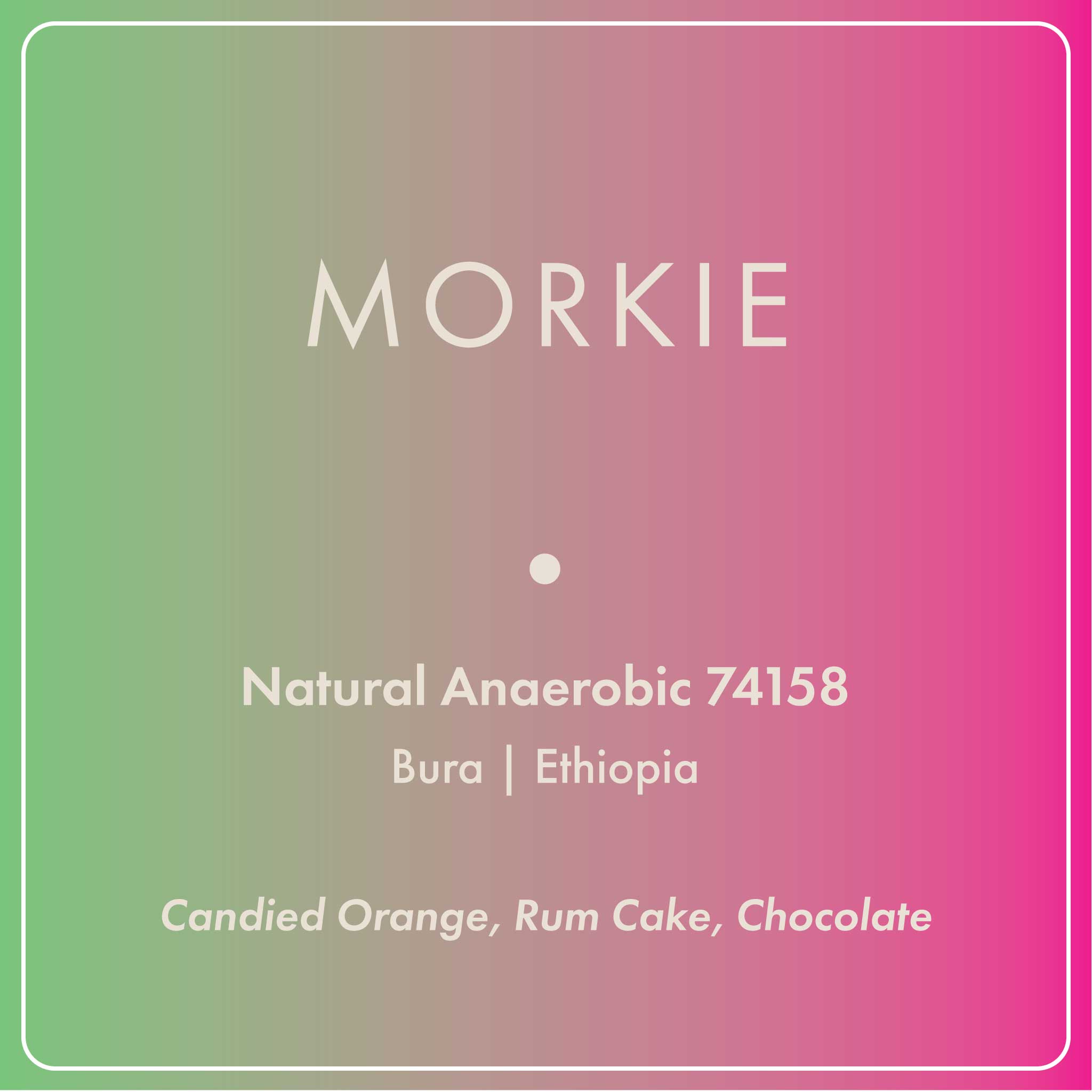 Morkie Site packshot