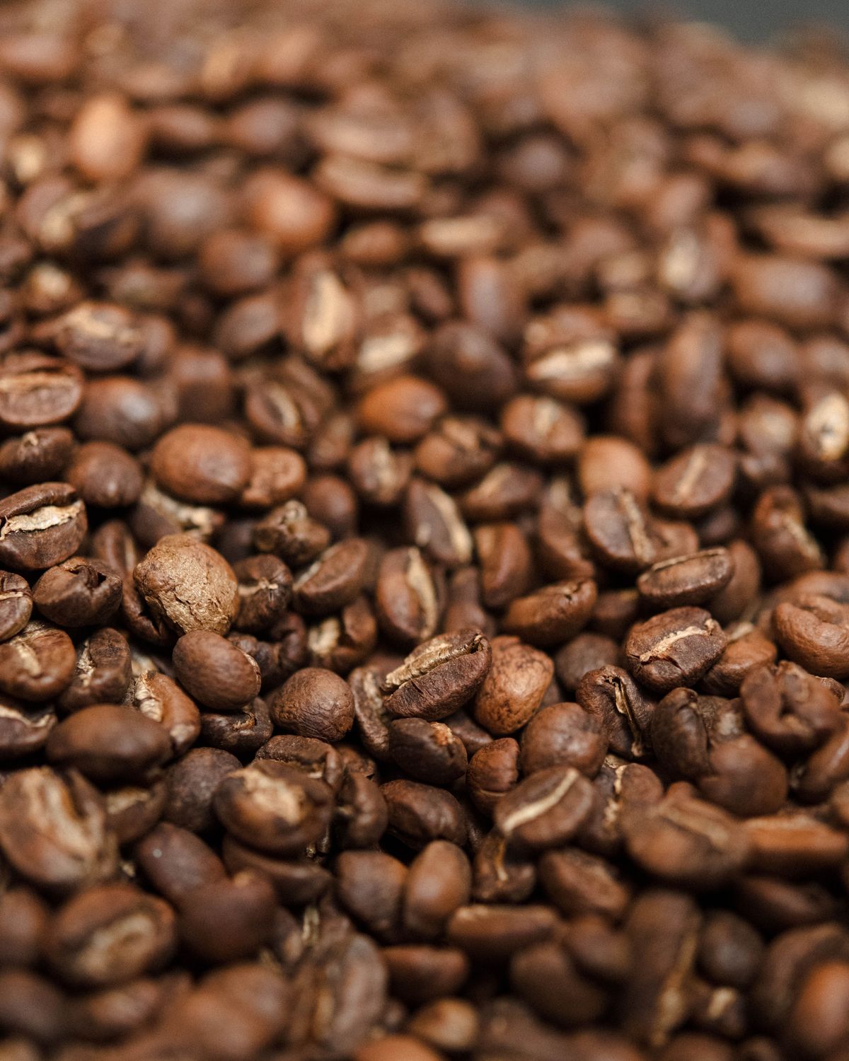 HARO WACHU - ETHIOPIA packshot