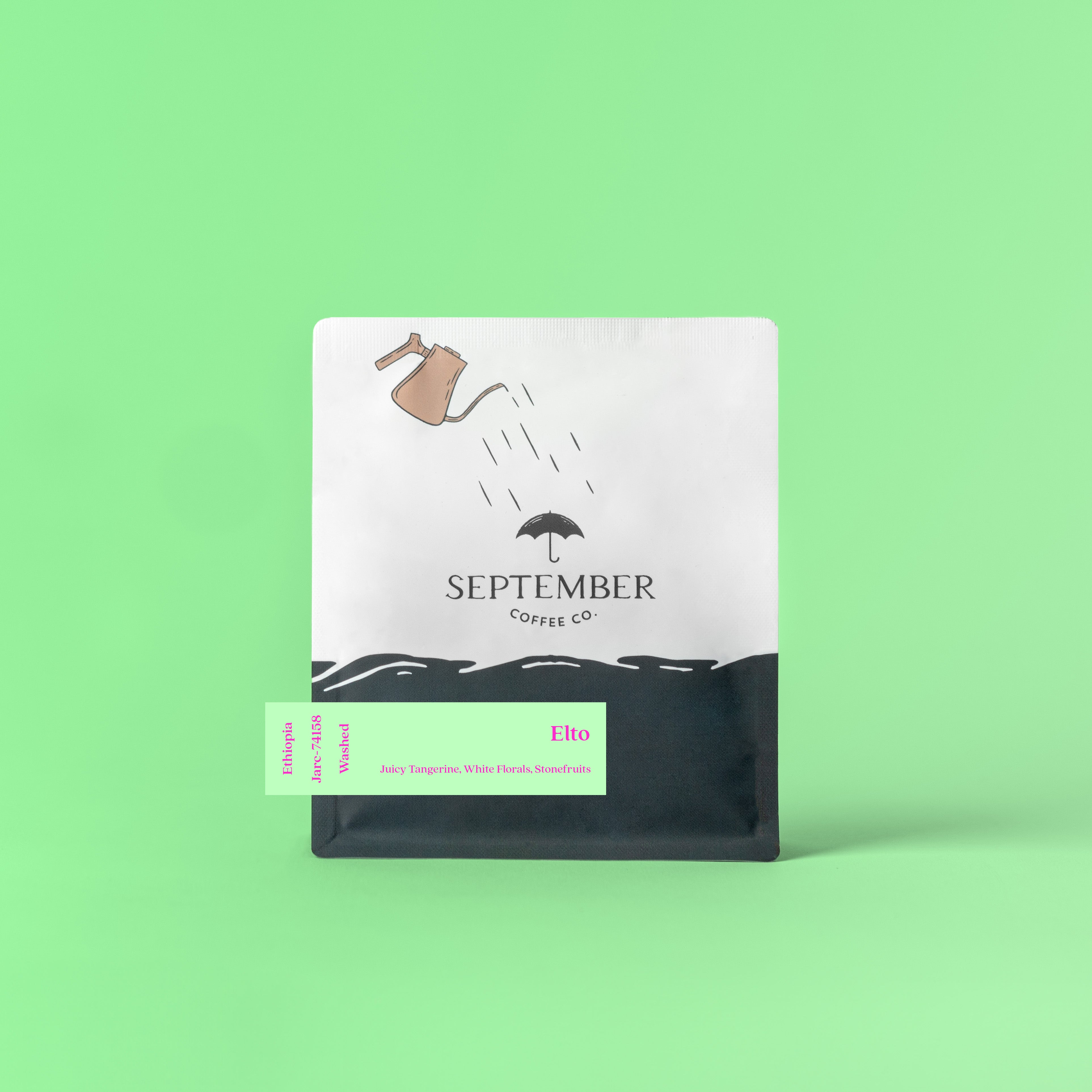 Elto - Washed 2025 (Extra-Light) packshot