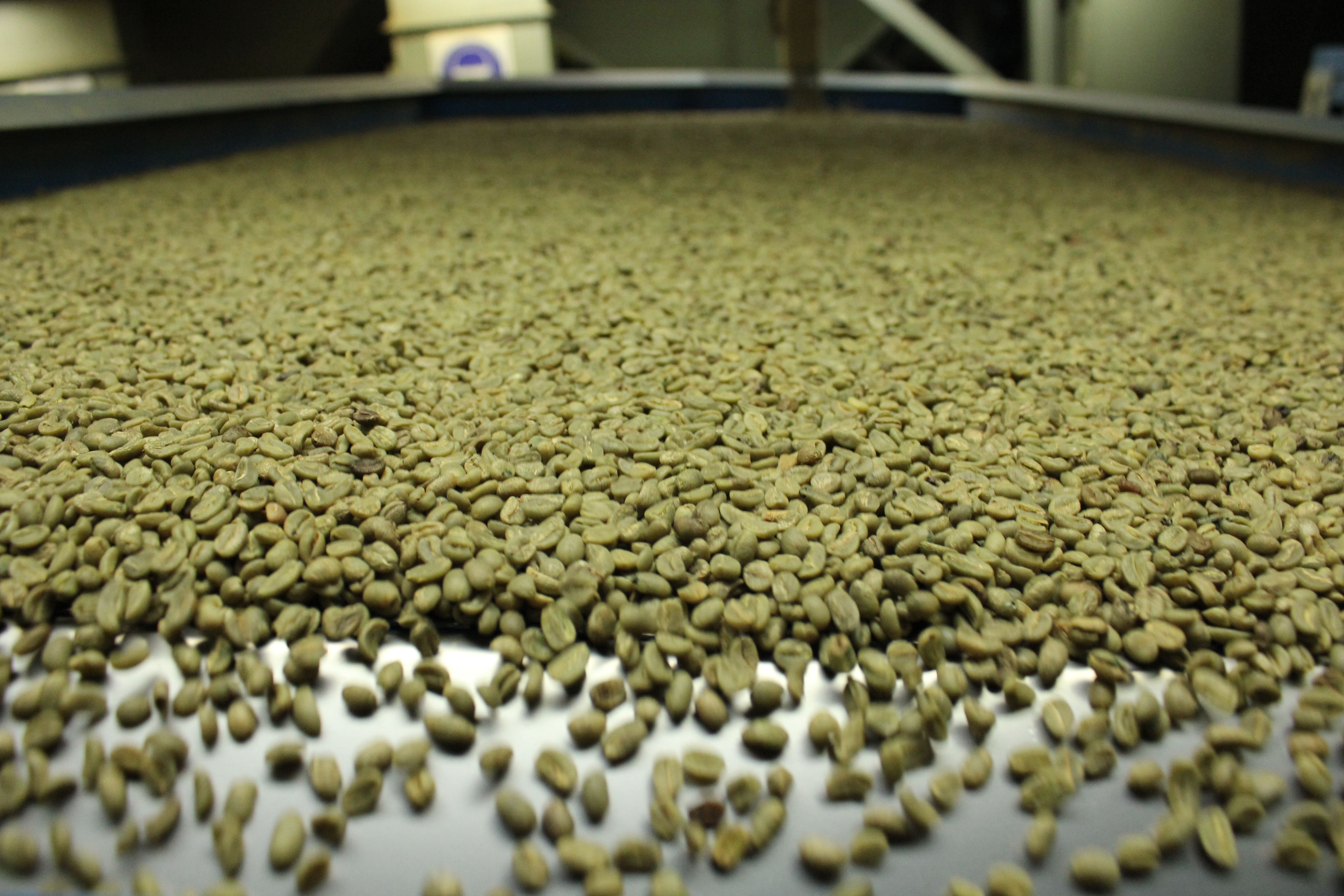 Green coffee packshot