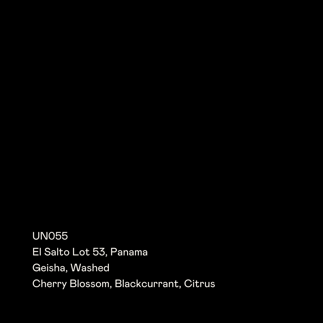 El Salto Lot 53, Geisha Washed packshot
