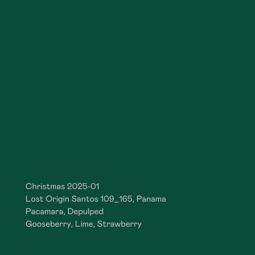 Christmas 2025-01 - Lost Origin Santos 109_165, Pacamara Depulped packshot