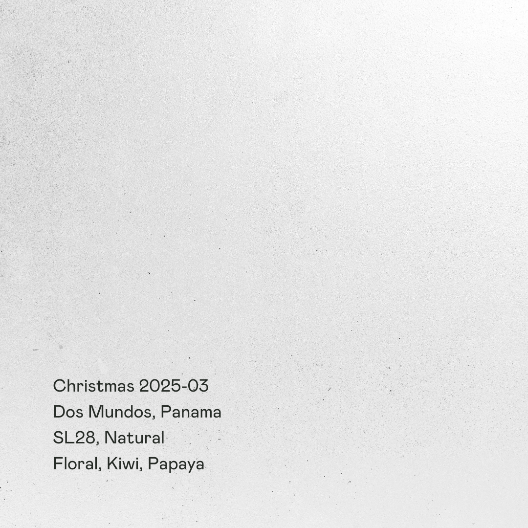 Christmas 2025-03 - Dos Mundos, SL28 Natural packshot