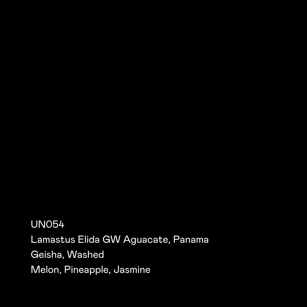 UN054 - Lamastus Elida GW Aguacate, Geisha Washed packshot