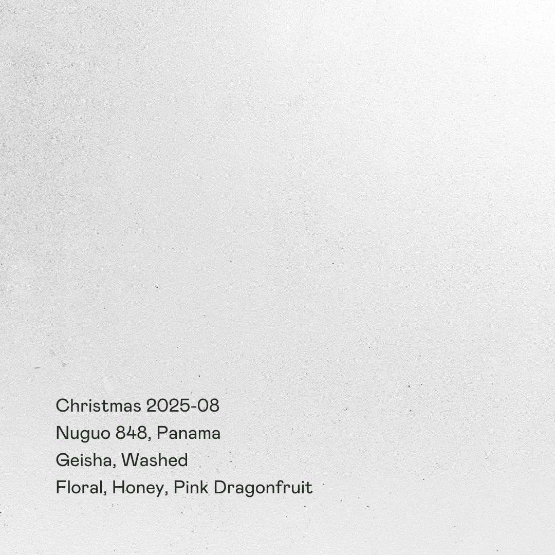 Christmas 2025-08 - Nuguo 848 Geisha, Washed packshot