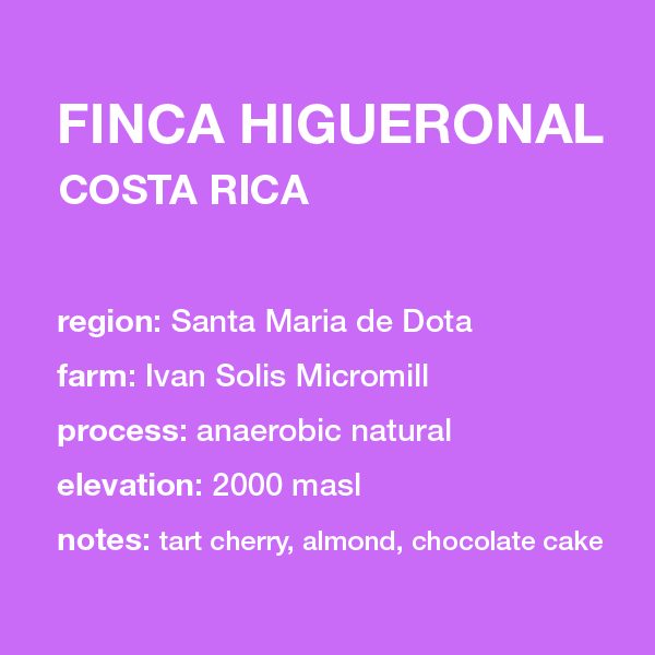 COSTA RICA Finca Higueronal packshot