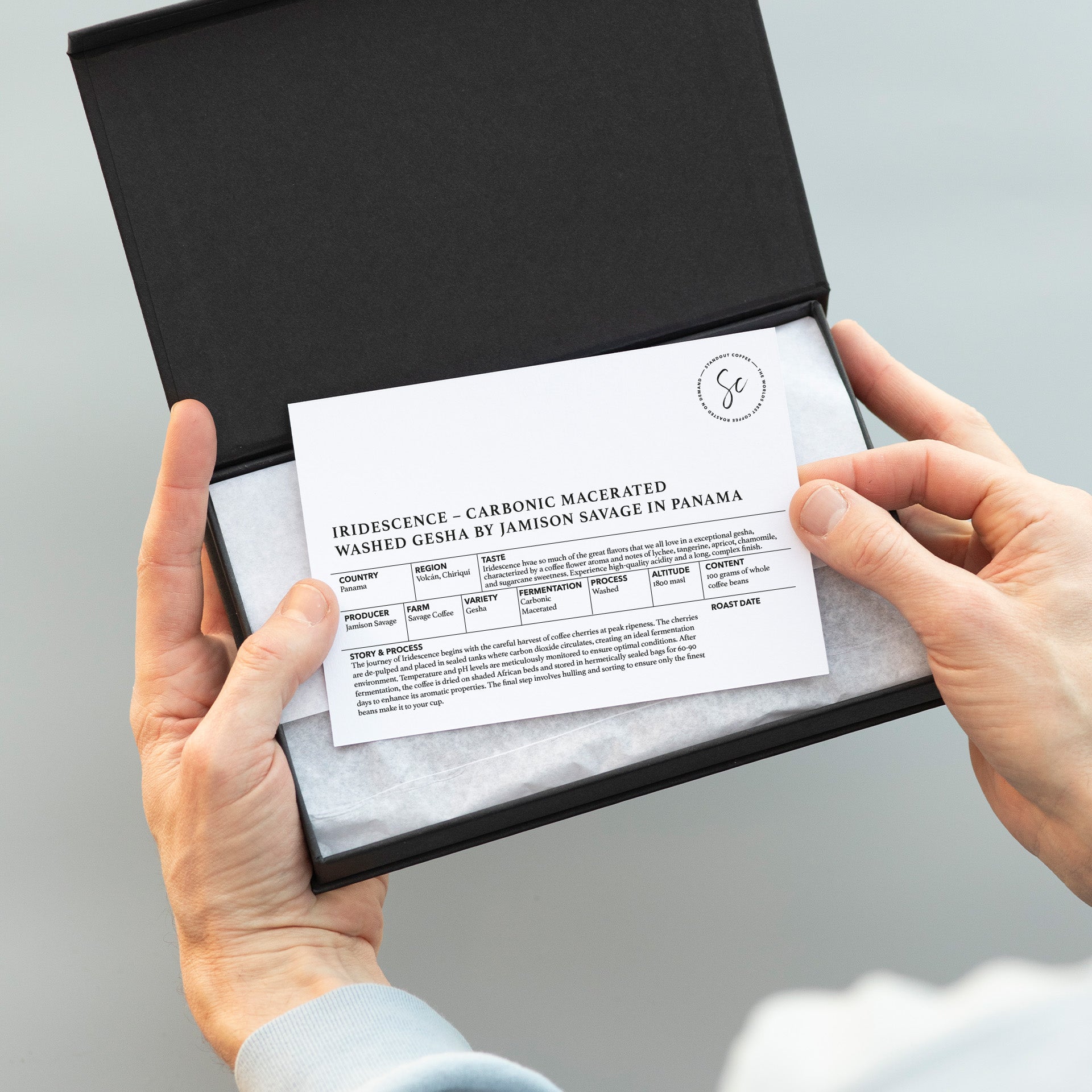 Altieri Alessa [Geisha Natural RFF5]