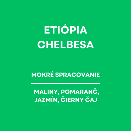 Ethiopia Chelbesa - Filter packshot