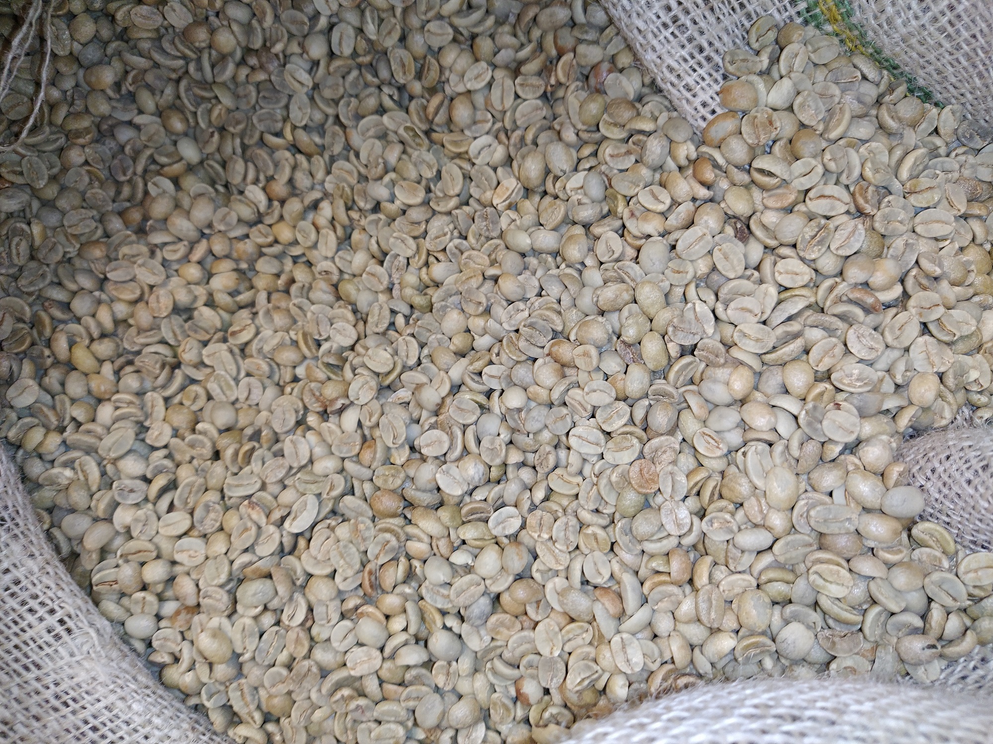 Brazil Cerrado packshot