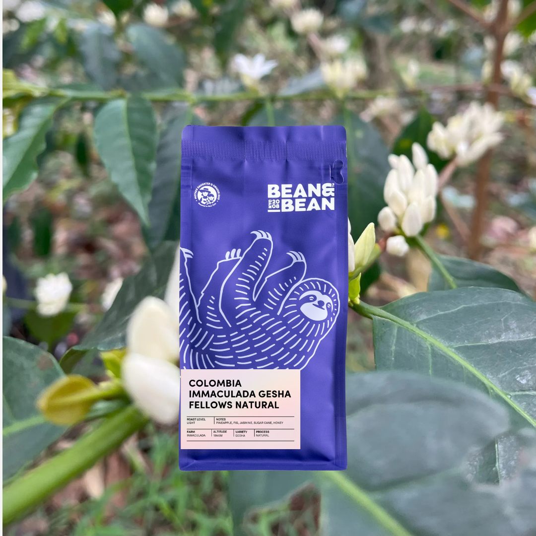 Colombia Immaculada Gesha Natural packshot