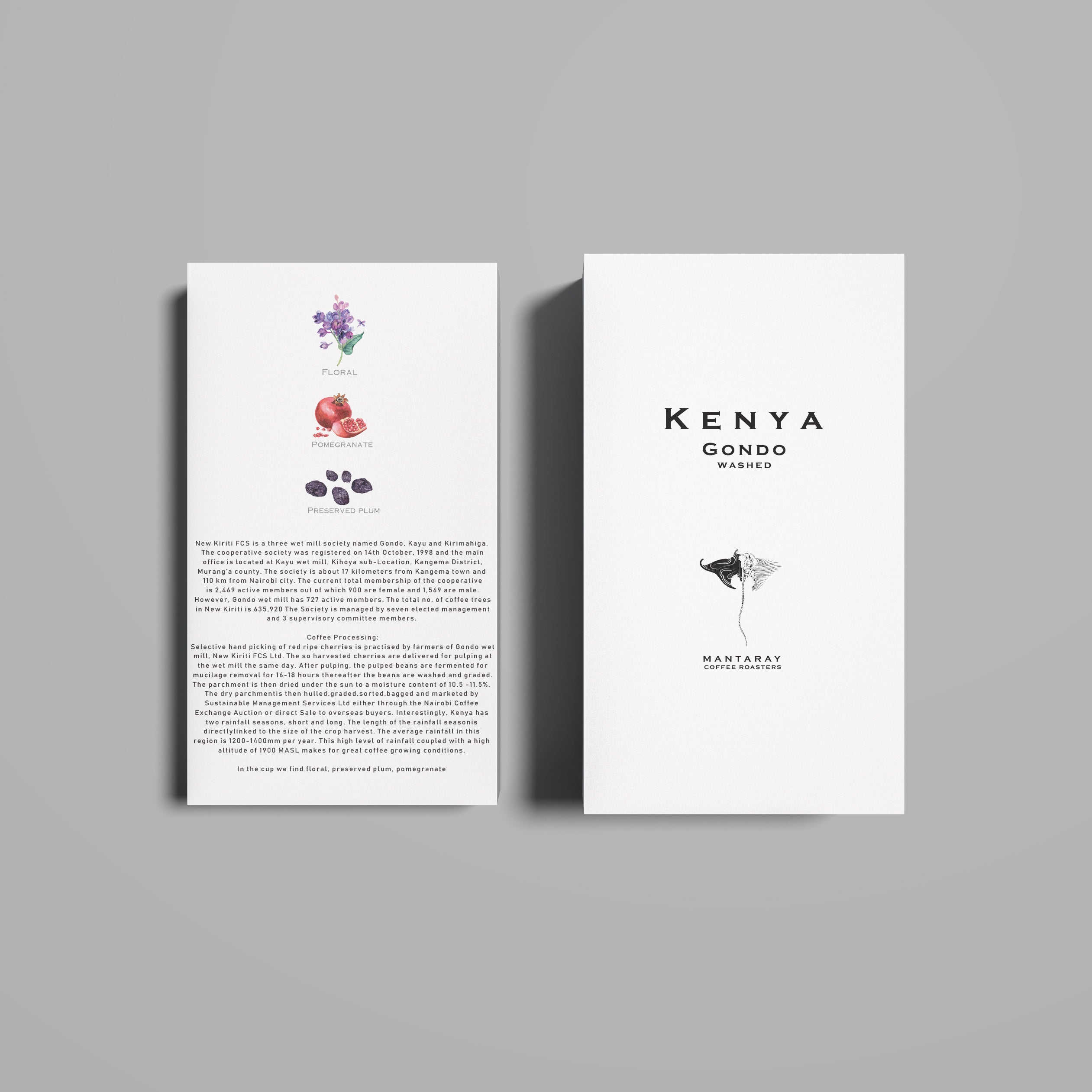 Kenya Gondo Washed - Filter packshot