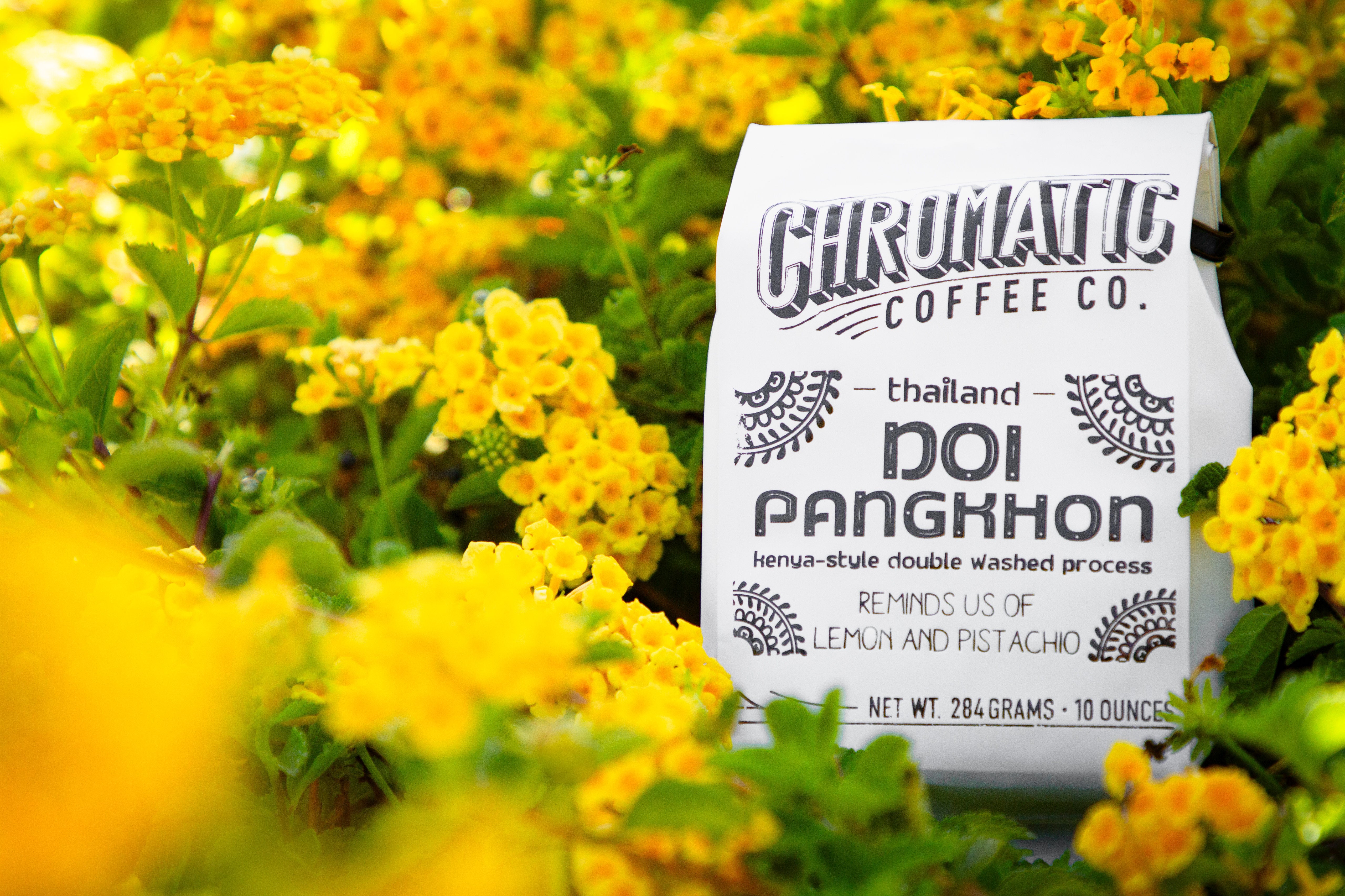 Doi Pangkhon Double Washed packshot