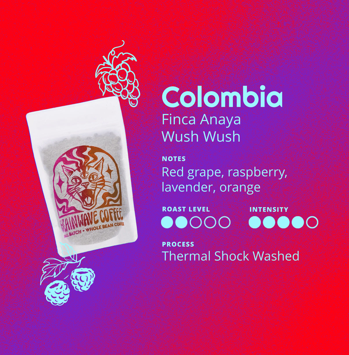 Colombia | Finca Anaya - Wush Wush packshot