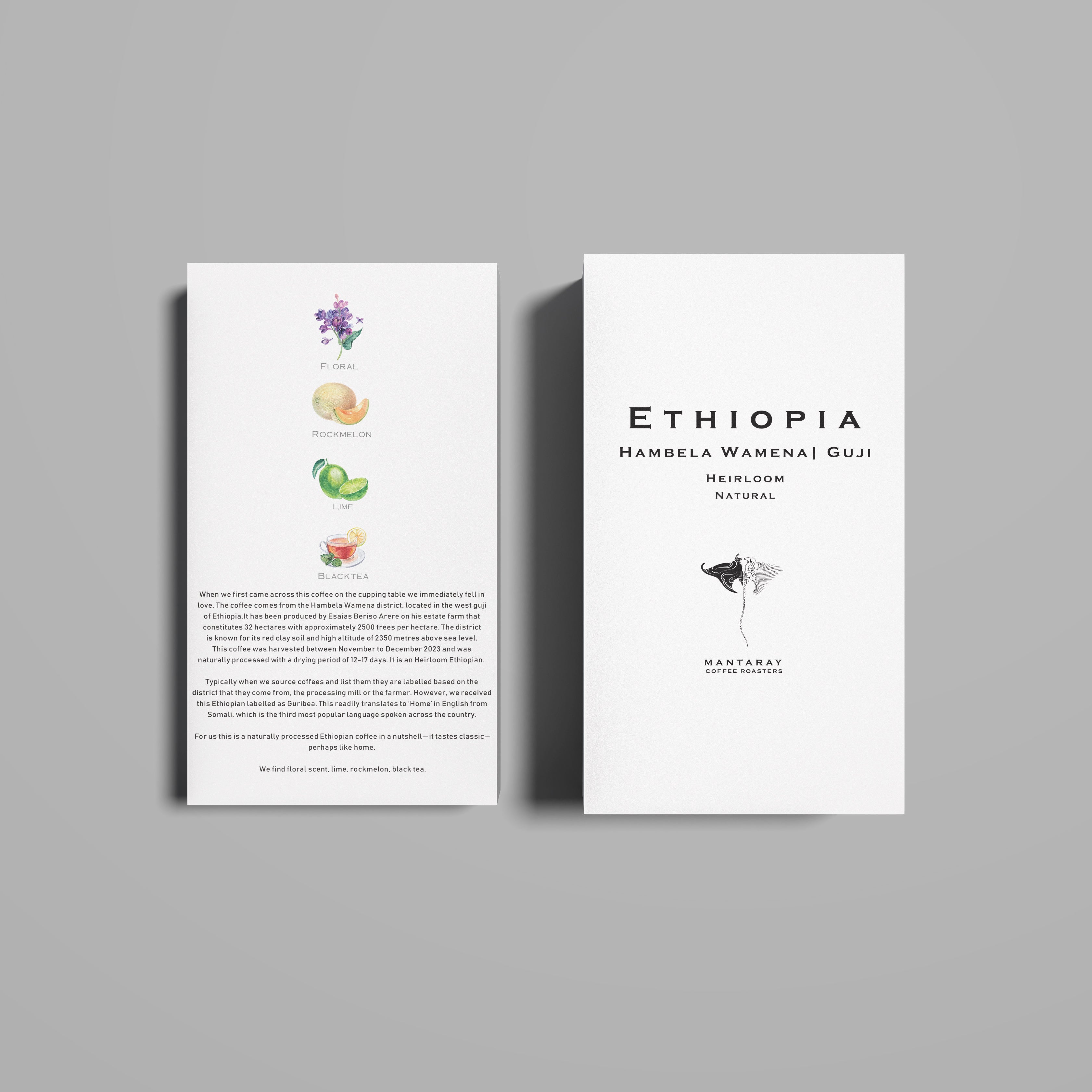 Ethiopia Hambela Wamena | West Guji washed (Single Origin Filter) packshot