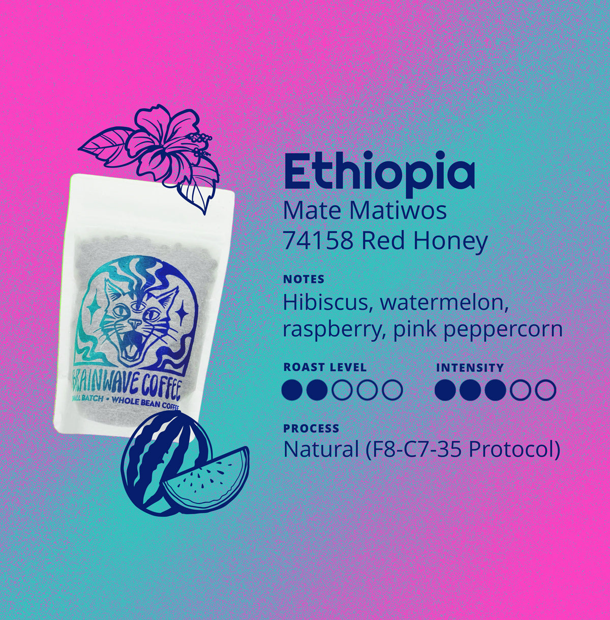 Ethiopia | Mate Matiwos - 74158 Red Honey packshot